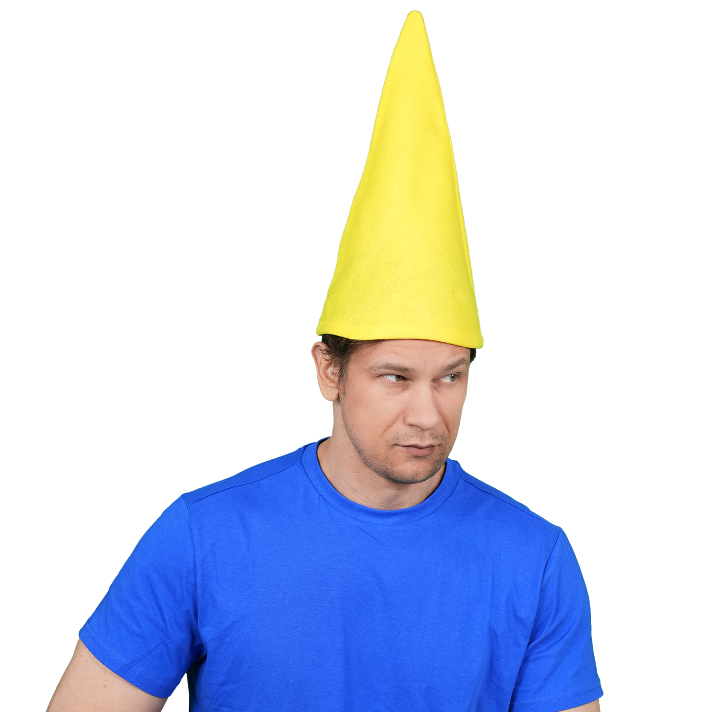 3602 dwarf - Set of 10 cones caps - once upon a time collection